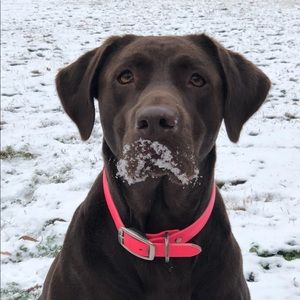 Meet your Posher, Aaron